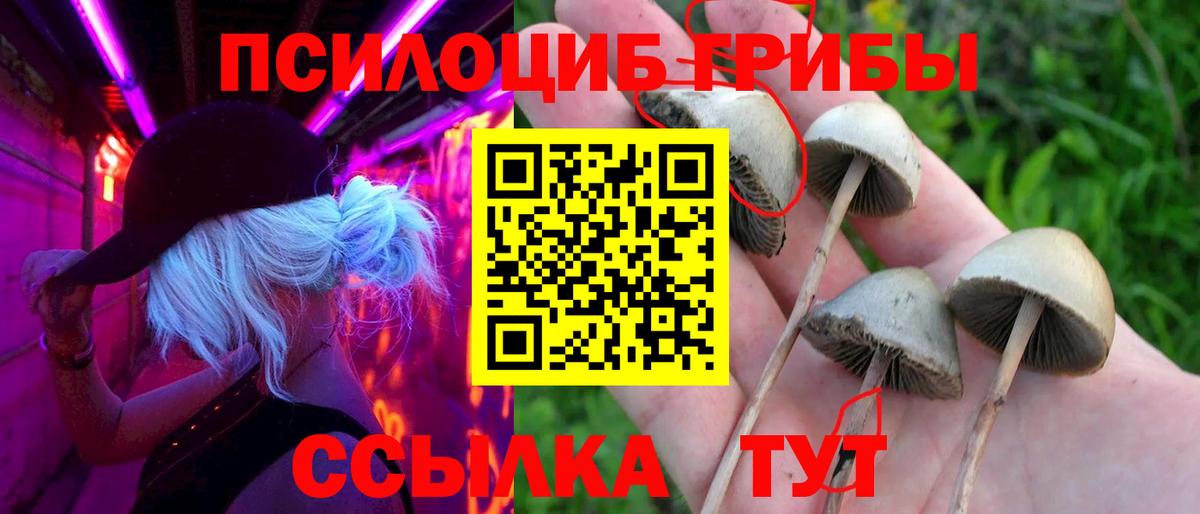 купить наркоту  Псилоцибиновые грибы Psilocybine cubensis  Вход с VPN  Саров 